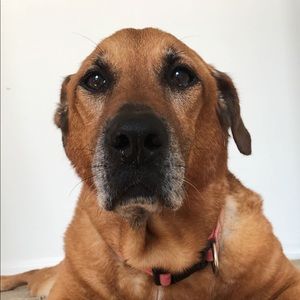 Meet your Posher, Celia